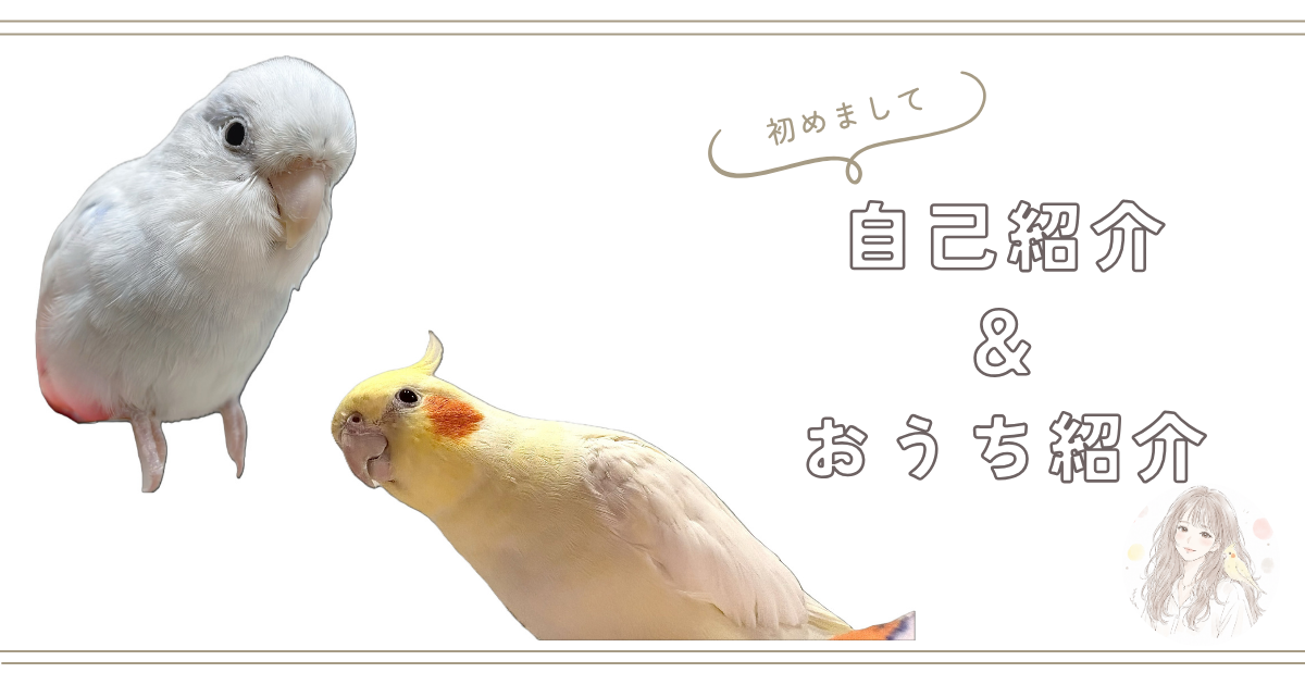 自己紹介とおうち紹介